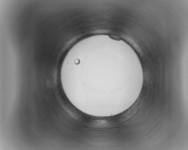 X0000110910159200907161506