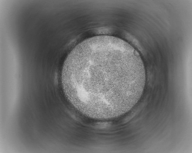 X0000110910161200907161506