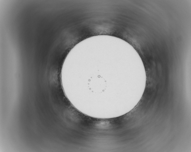 X0000110910162200907161506