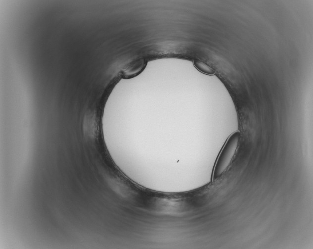 X0000110910164200907161506