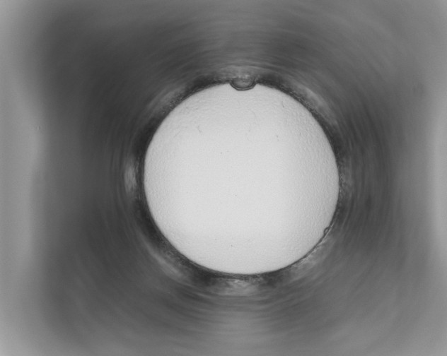 X0000110910166200907161506