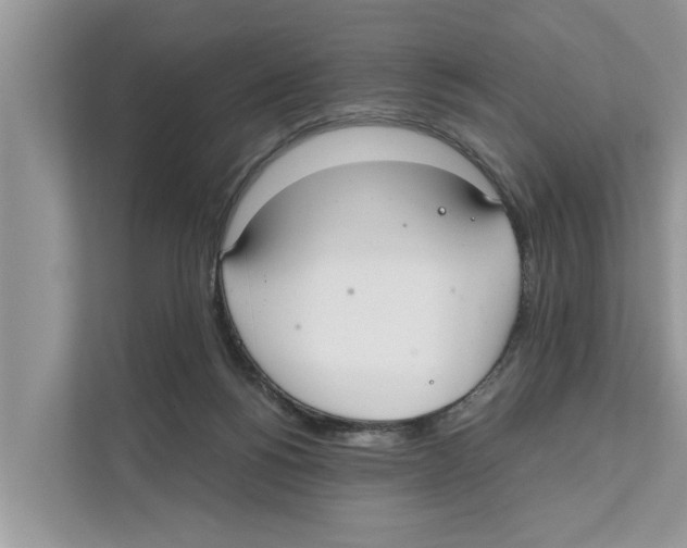 X0000110910168200907161506