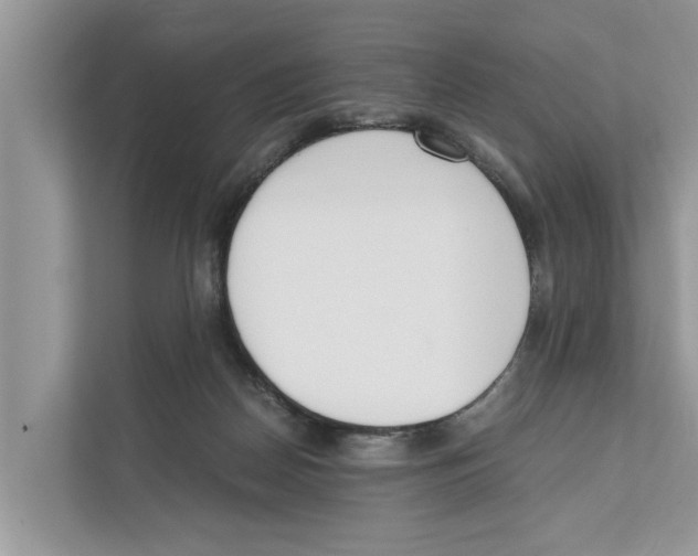 X0000110910170200907161506