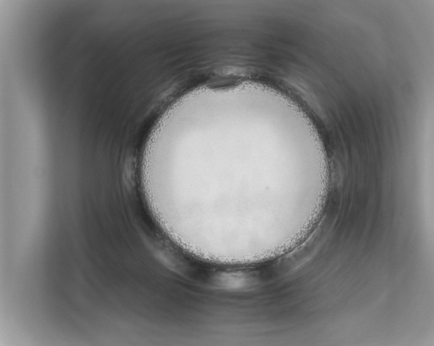 X0000110910171200907161506