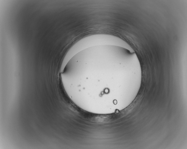 X0000110910172200907161506