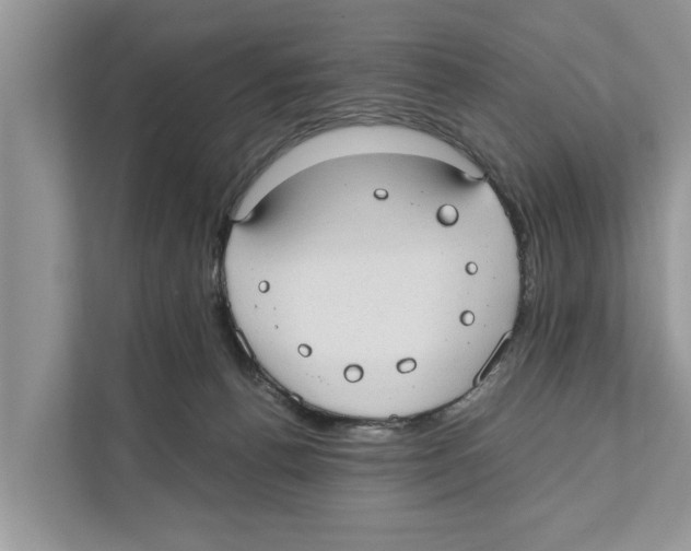 X0000110910176200907161506