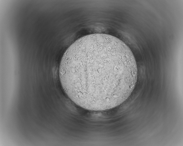 X0000110910177200907161506