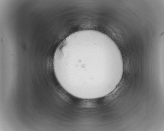 X0000110910179200907161506