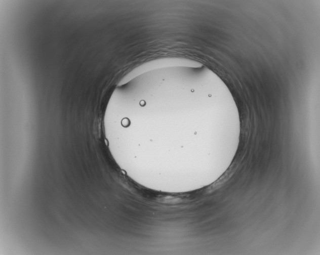 X0000110910180200907161506