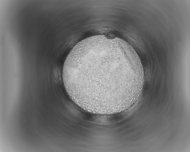 X0000110910182200907161506