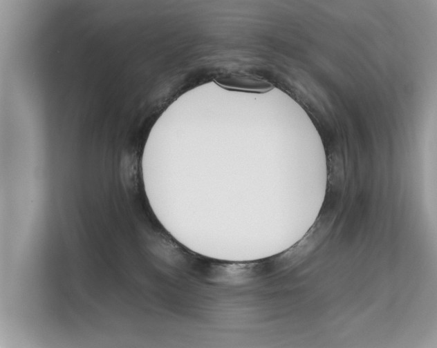 X0000110910184200907161506