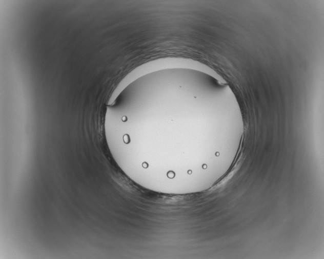 X0000110910186200907161506