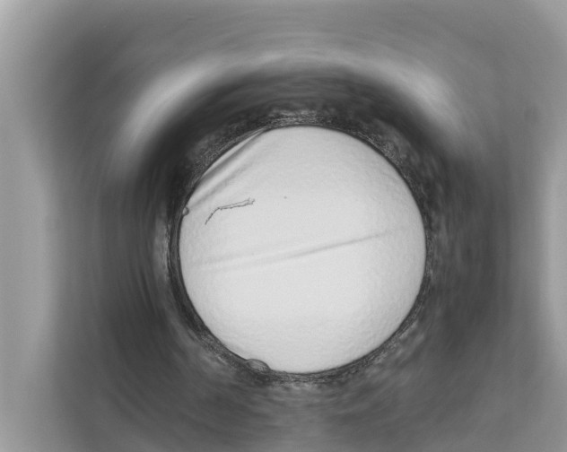 X0000110910194200907161505