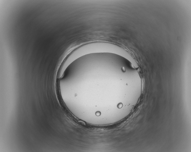 X0000110910195200907161505