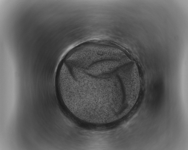 X0000110910196200907161505