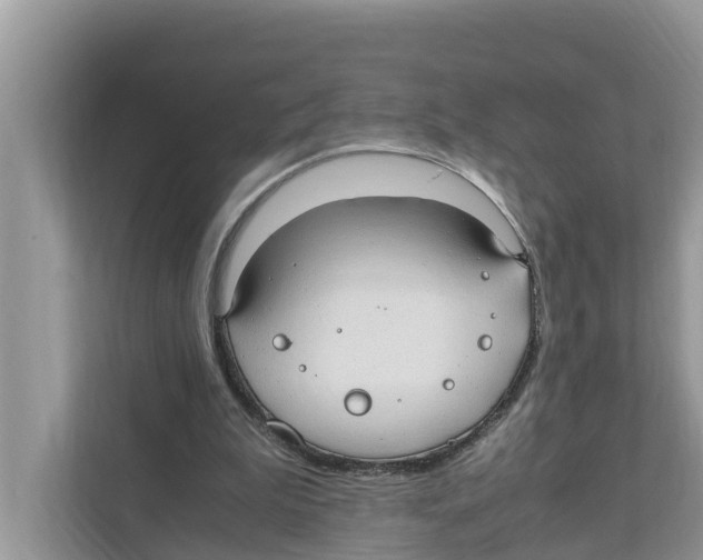 X0000110910199200907161505