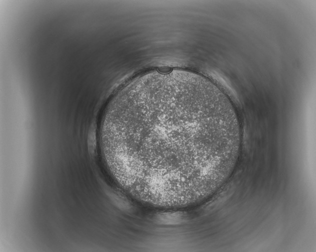 X0000110910202200907161505