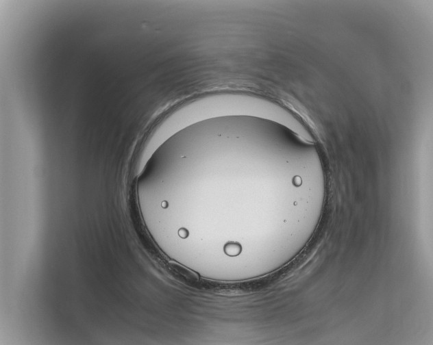 X0000110910203200907161505