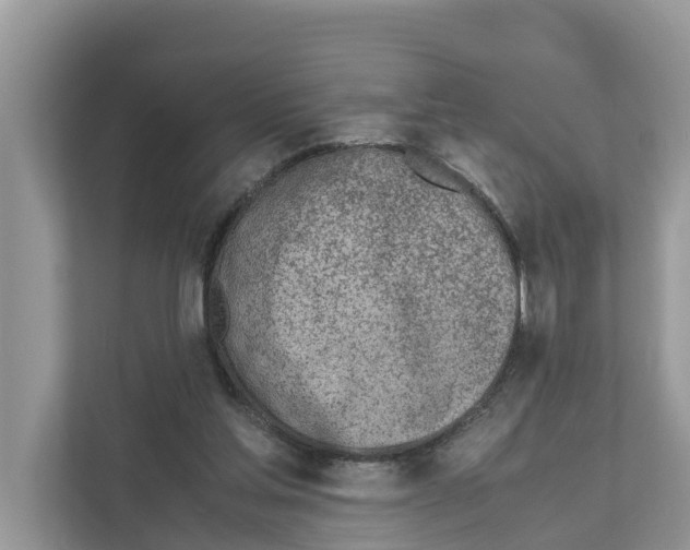 X0000110910205200907161505