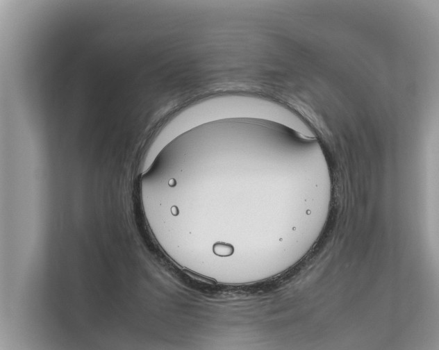 X0000110910207200907161505