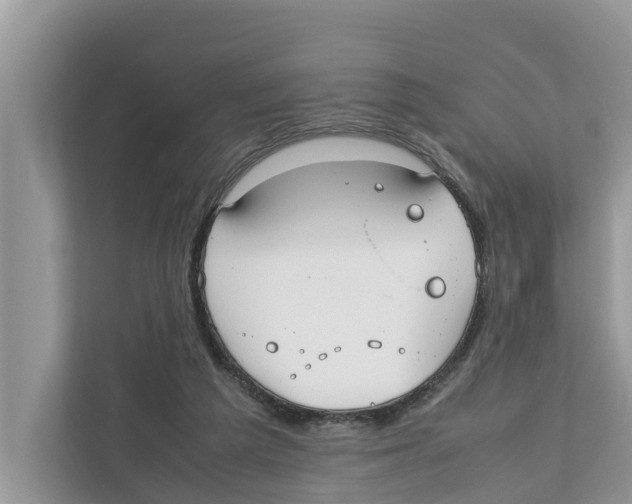 X0000110910209200907161505