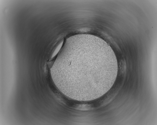 X0000110910212200907161505