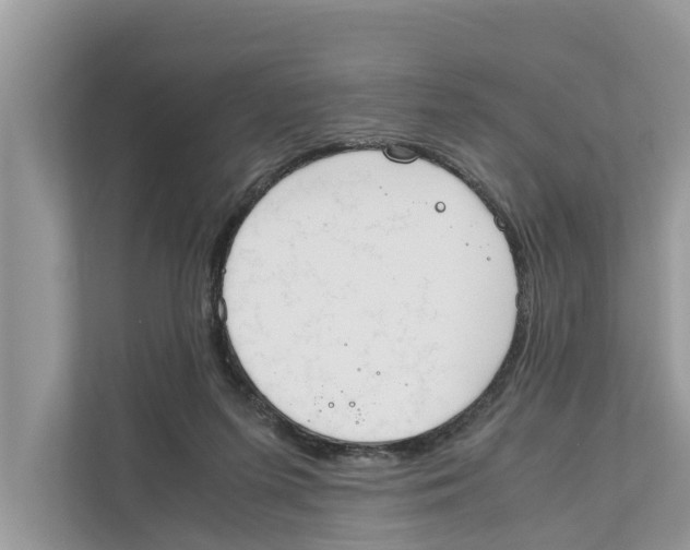 X0000110910215200907161505