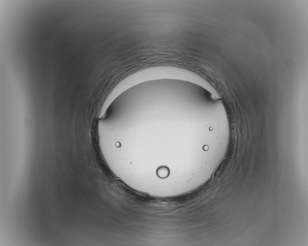 X0000110910221200907161505