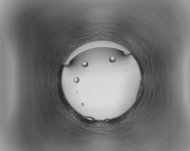 X0000110910223200907161505