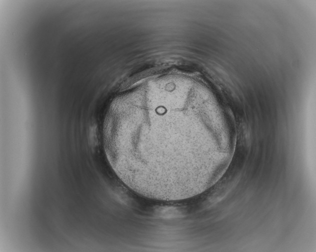 X0000110910224200907161505