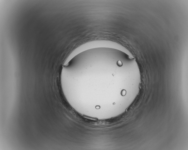 X0000110910225200907161505