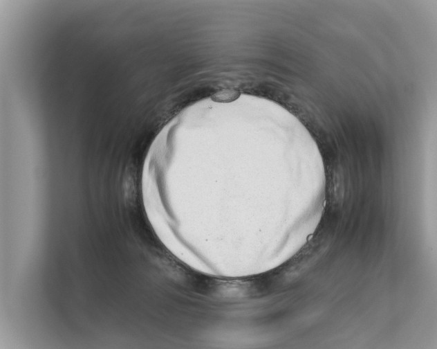 X0000110910226200907161505