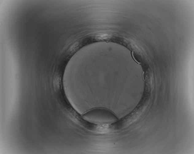 X0000110910227200907161505