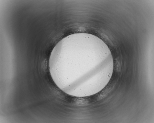 X0000110910230200907161505