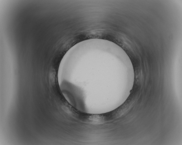 X0000110910231200907161505