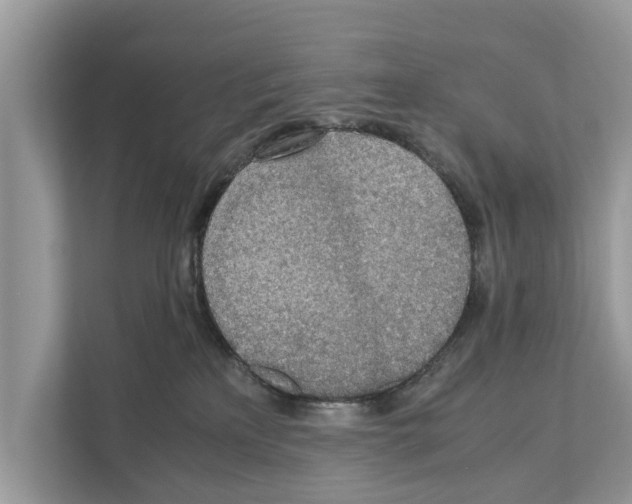 X0000110910233200907161505