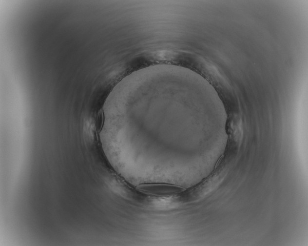 X0000110910235200907161505