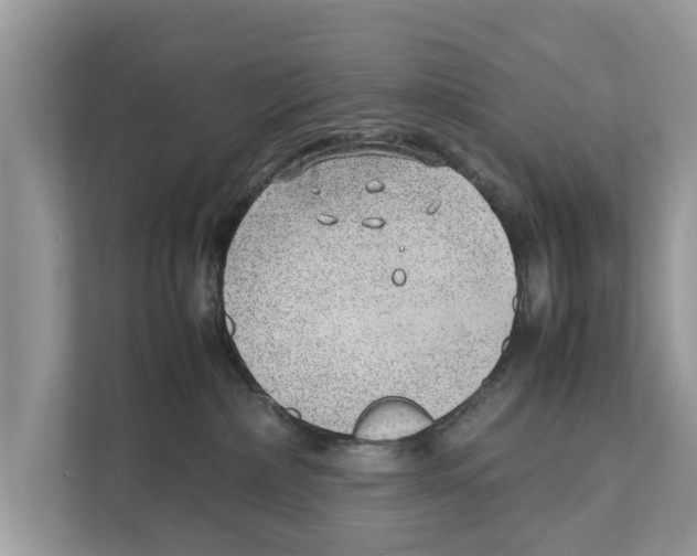 X0000110910236200907161505