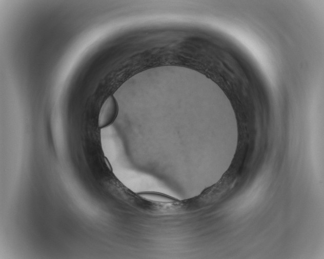 X0000110910239200907161505