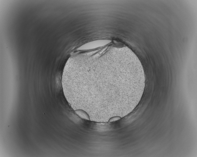 X0000110910240200907161505