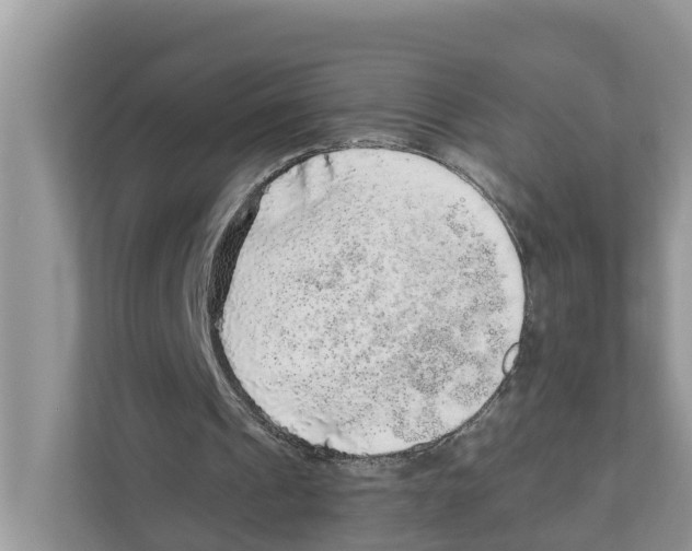 X0000110910241200907161504