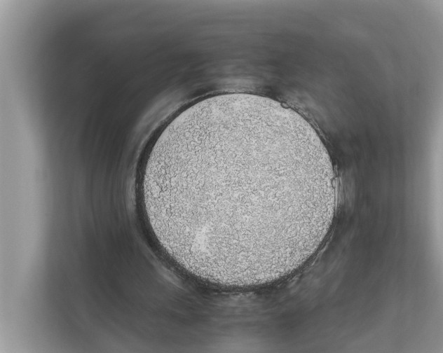 X0000110910243200907161504