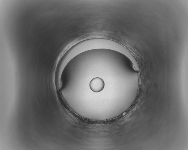 X0000110910244200907161504