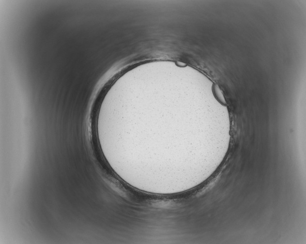 X0000110910246200907161504