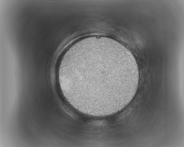 X0000110910247200907161504