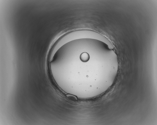 X0000110910248200907161504