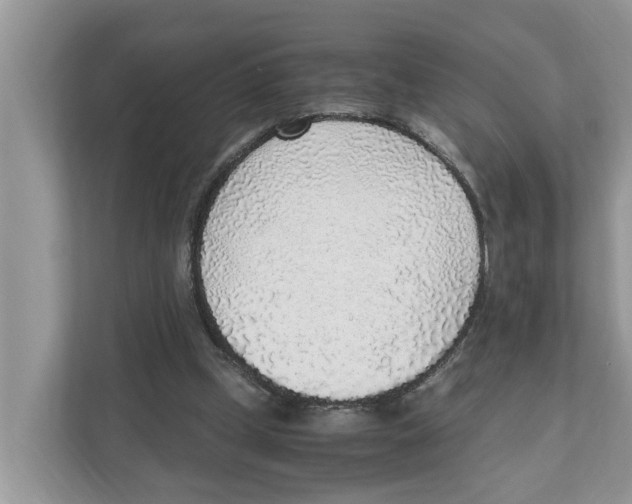 X0000110910249200907161504