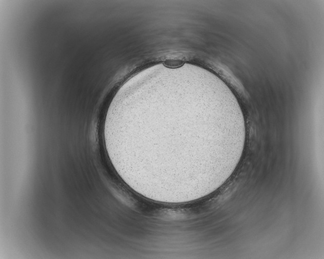 X0000110910250200907161504