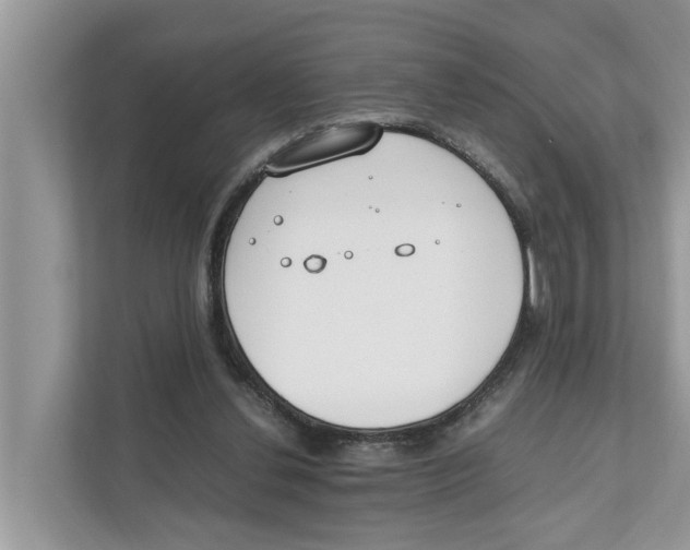 X0000110910252200907161504