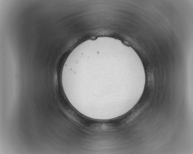 X0000110910254200907161504